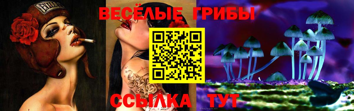 Псилоцибиновые грибы прущие грибы  Псилоцибиновые грибы Psilocybine cubensis  Россошь  Вход с VPN 